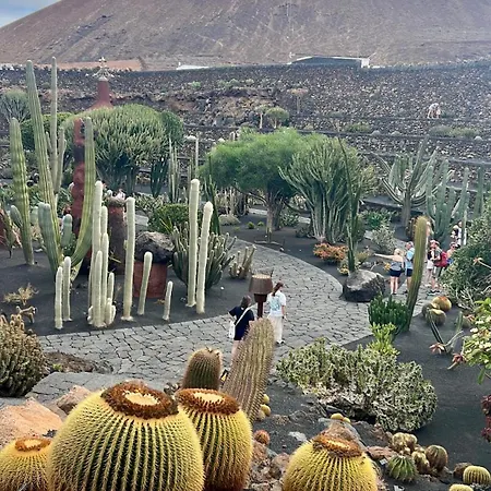 Vacacional Con Balcon La Vela *